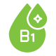 b1 b1